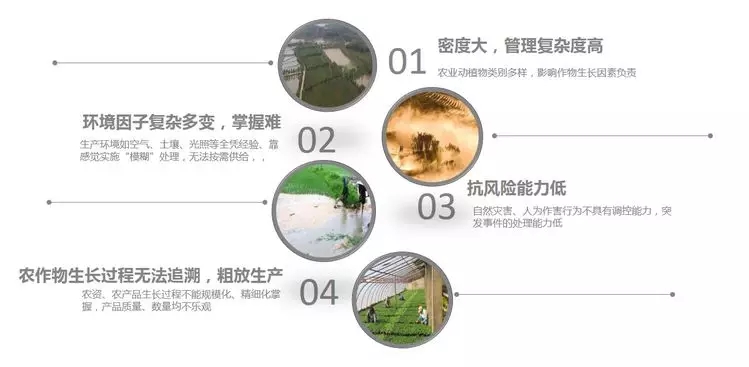金埔园林申报南京市绿化园林局科技项目获立项